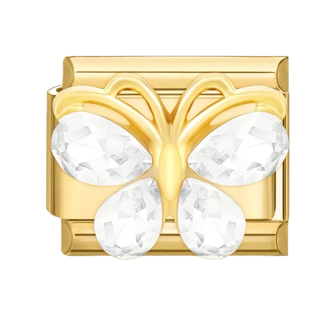 White Diamond Butterfly