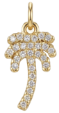 Diamond Palm Tree