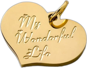 My Wonderful Life