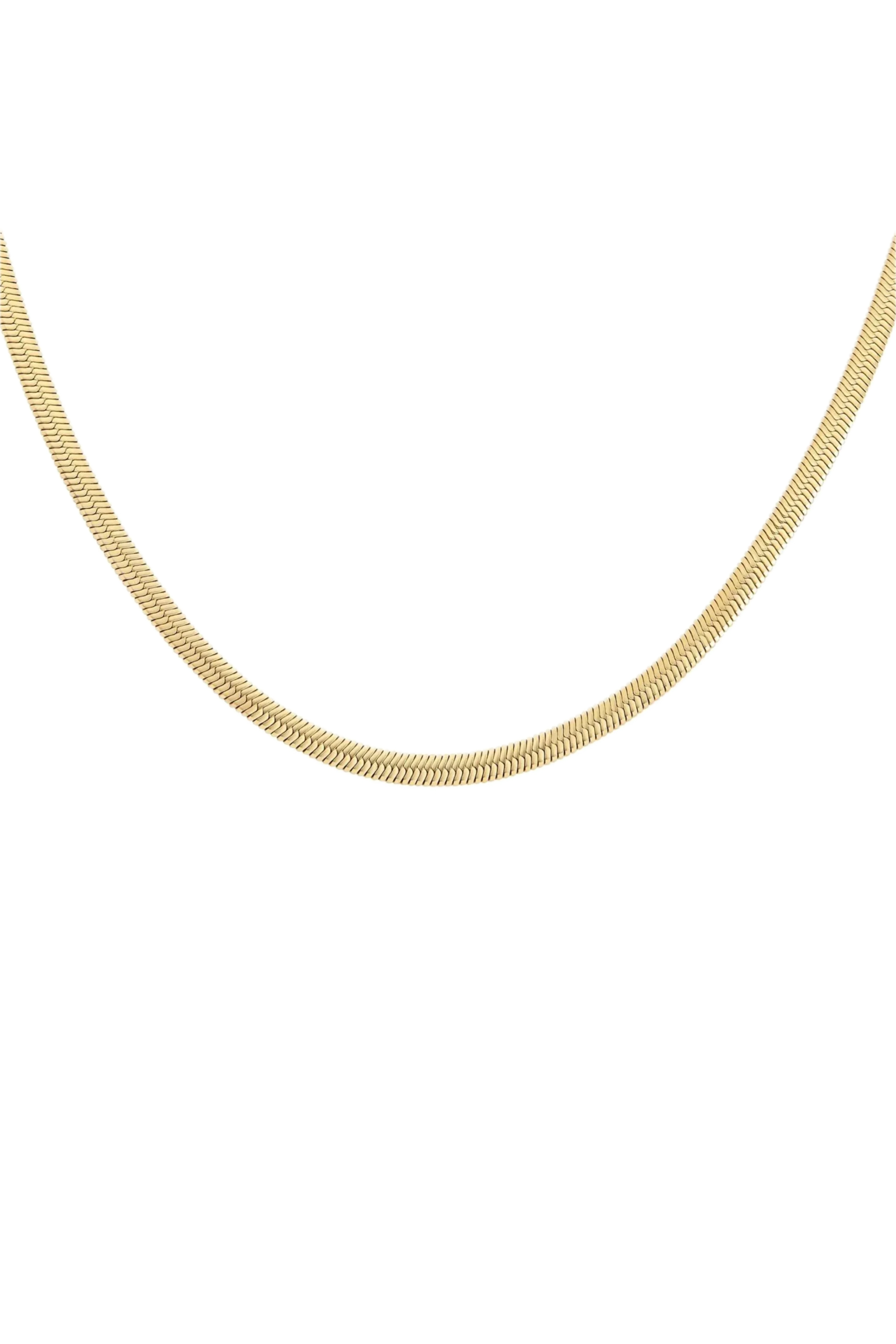 Snake Gold Chain