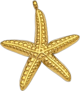 Étoile de mer