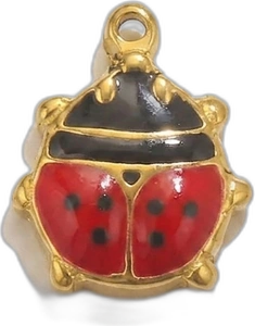 Cocci