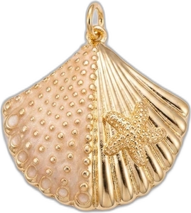 Coral Shell