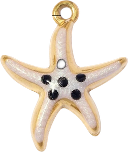 Galaxie Marine